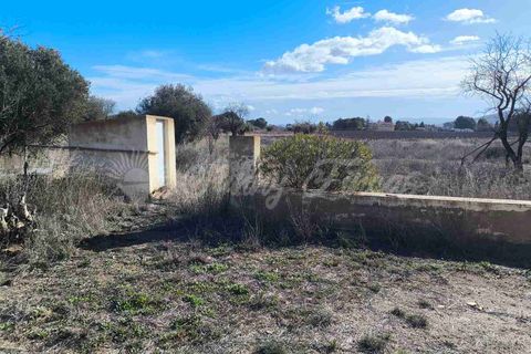 Landejendom i Yecla, Murcia, Yecla - € 195.000 | Ref: SF0556 - foto 39
